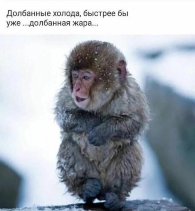 Который как бы и уже