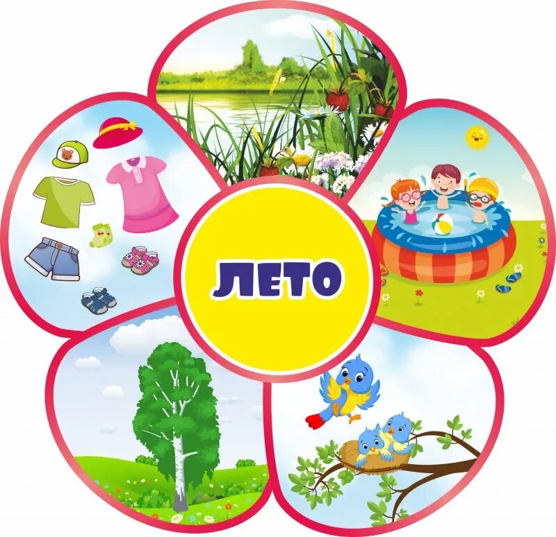 Уголок природы лето