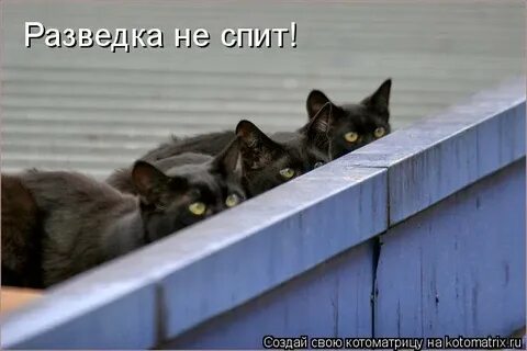 Где остальные работы