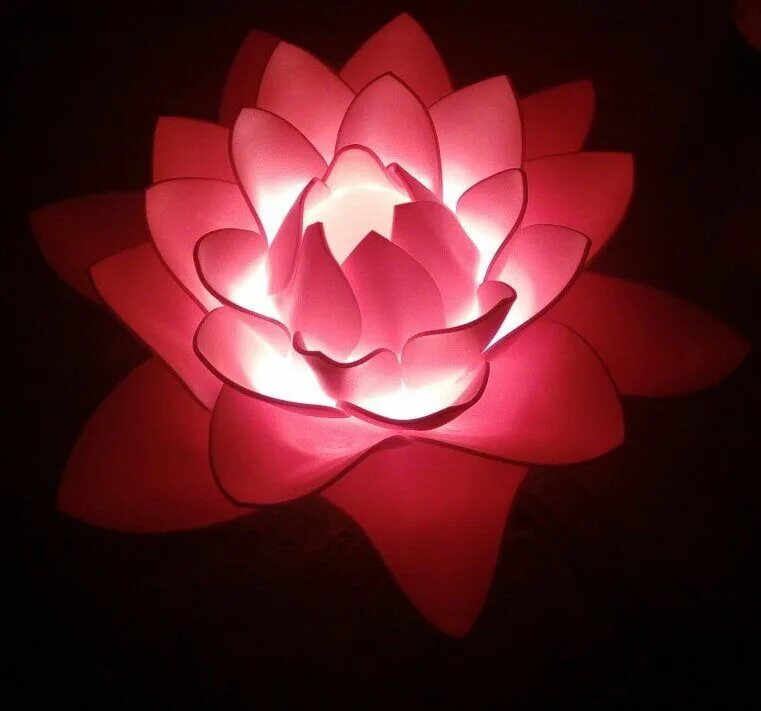 Приложение lotus lamp x