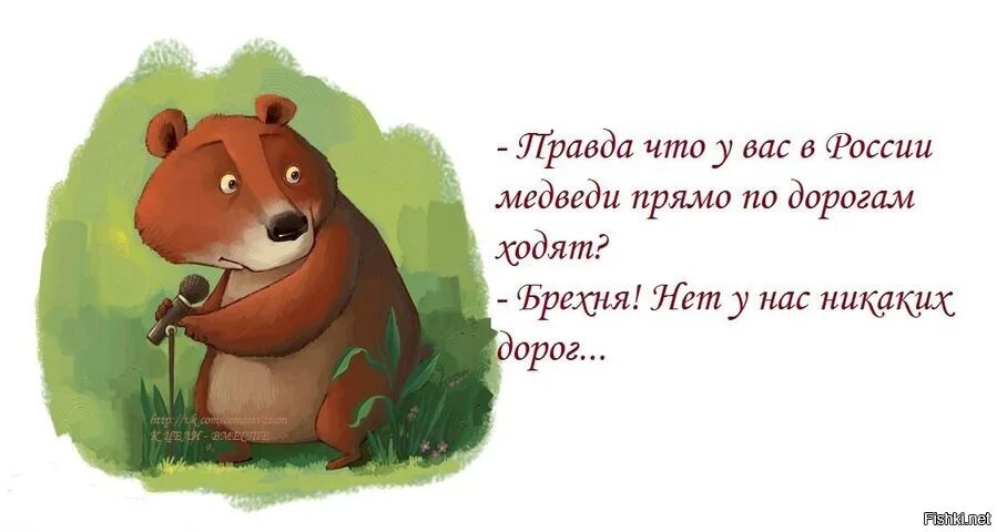 День медведя. Говорят в России медведи по дорогам ходят. Дорогие медведи. А правда что у вас медведи по дорогам ходят.