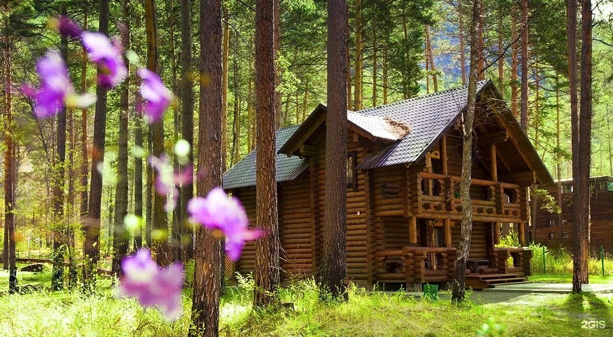 Ресторан орлиное гнездо горный алтай. Турбаза орлиное гнездо горный. Туристический комплекс орлиное гнездо алтай. Орлиное гнездо горный. Орлиное гнездо горный алтай.