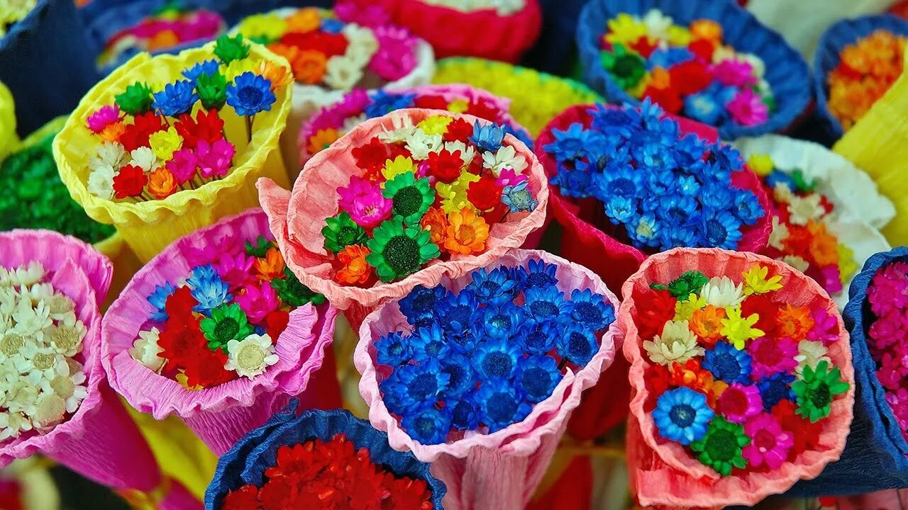 Что делаем яркими цветами. Что делаем яркими цветами