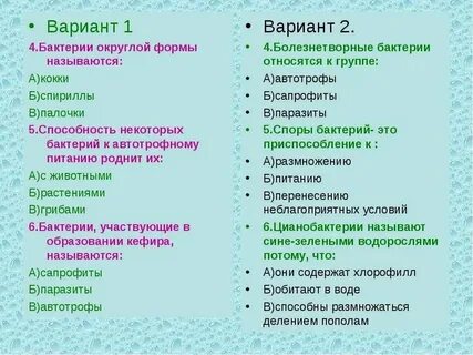 Вопросы по теме бактерии 7 класс