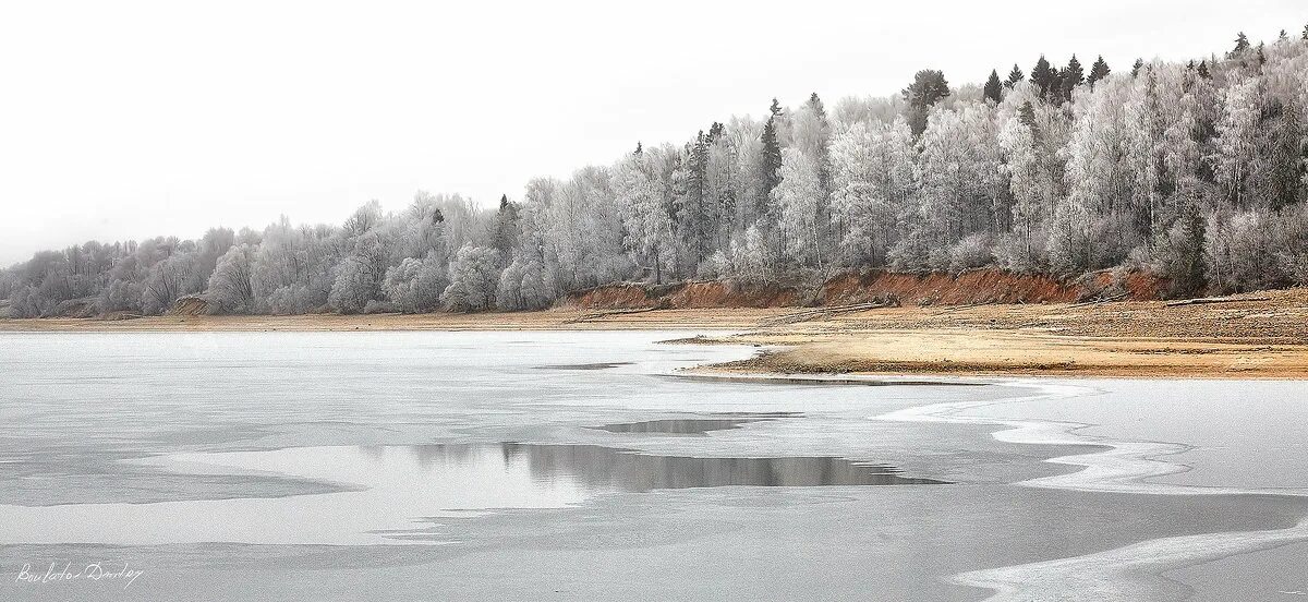 полынья слушать