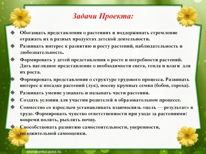 Задачи проекта о цветах. Цели и задачи проекта огород на окне в детском саду. Задачи проекта добрый огород. Гостиница для растений задачи проекта.