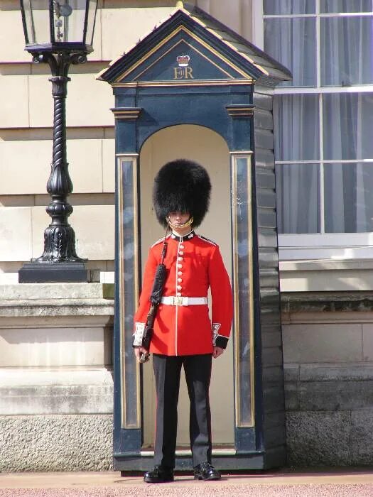 Гвардейцы букингемского дворца. Королевская гвардия букингемского дворца. Королевская стража великобритании. Как называются люди которые охраняют. Английские королевские гвардейцы.