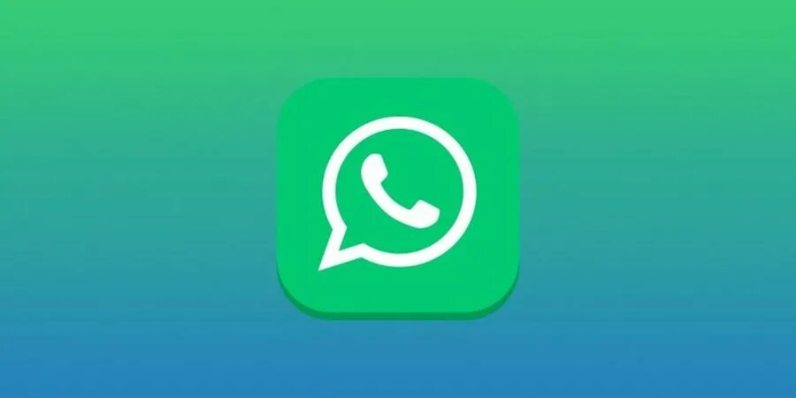 Баг ватсапа. Логотип whatsapp. Жити ватсап. Значок ватсап. Жити ватсап.