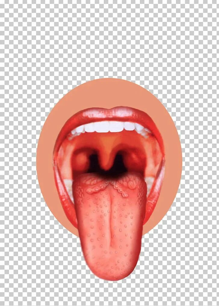 Tongue speed up. Tongue speed up