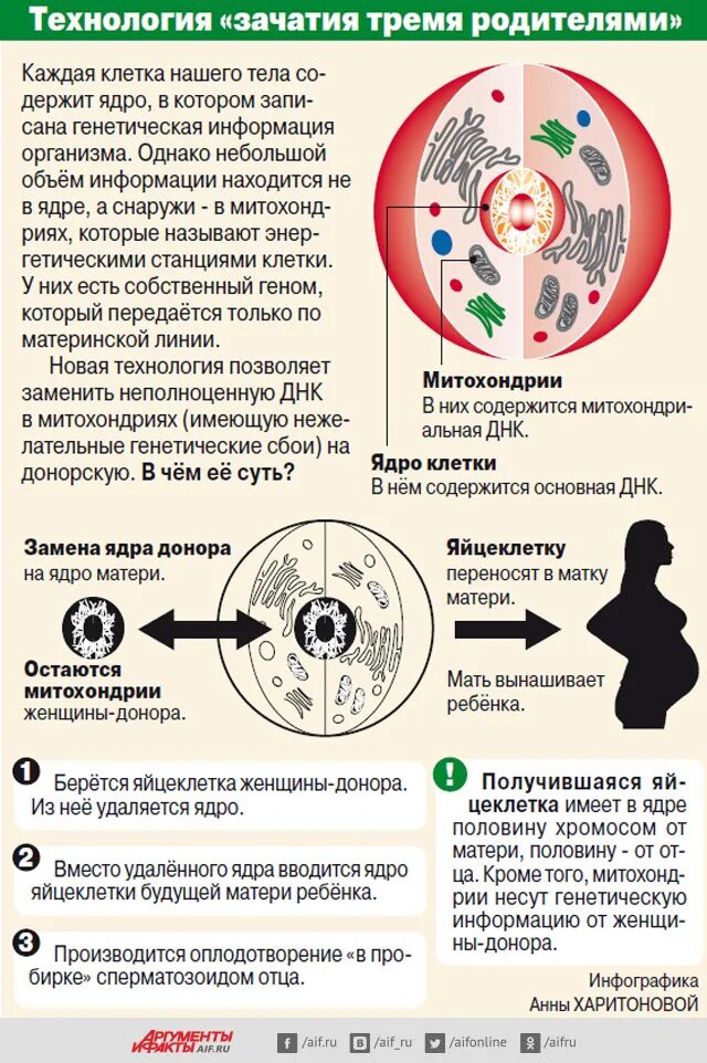 ДНК при зачатии. Эко три родителя. Слияние ДНК матери и отца. Взяли ДНК У матери ребёнка и отца. Днк на материнство