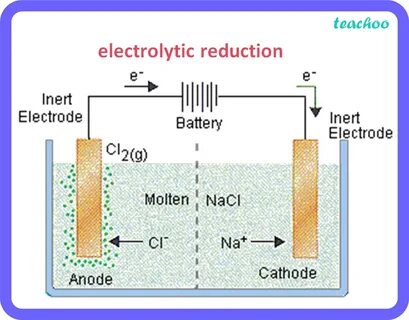 Define cell