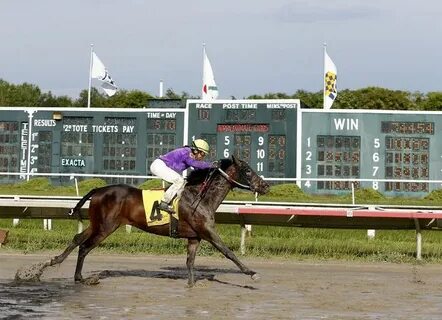 Live horse racing