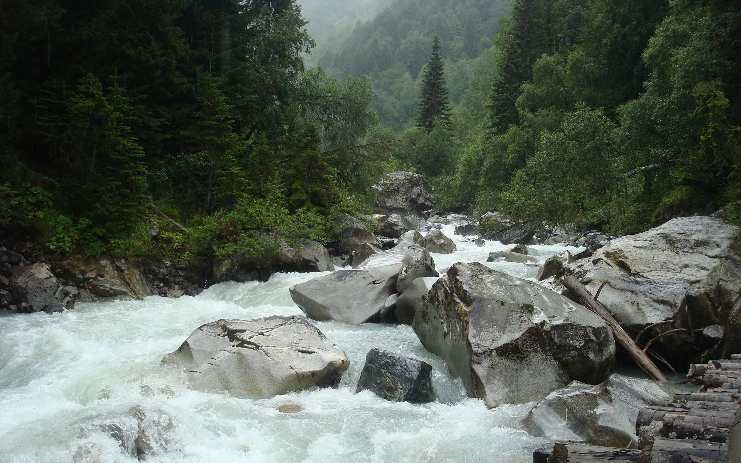 В течении горного ручья вода. Алтай река Башкаус. Сочи река белый ручей. Река белая Адыгея. Адыгея бурлящие горные реки.