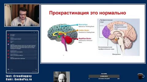 Мозг и поведение