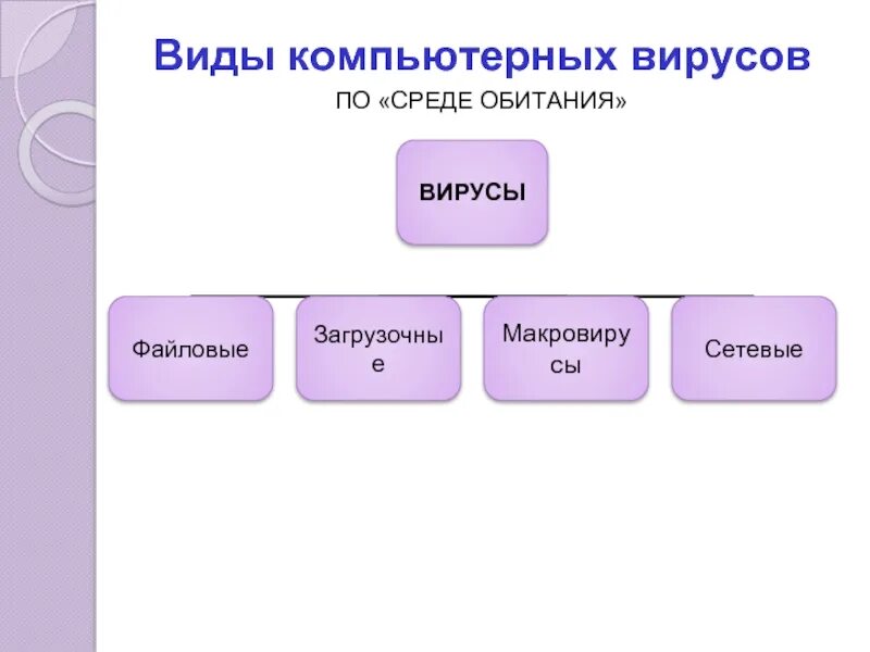 Виды типы вирусов. Комп вирусы по среде обитания. Виды компьютерных. Основные источники вирусов. Типы вирусов компьютера.