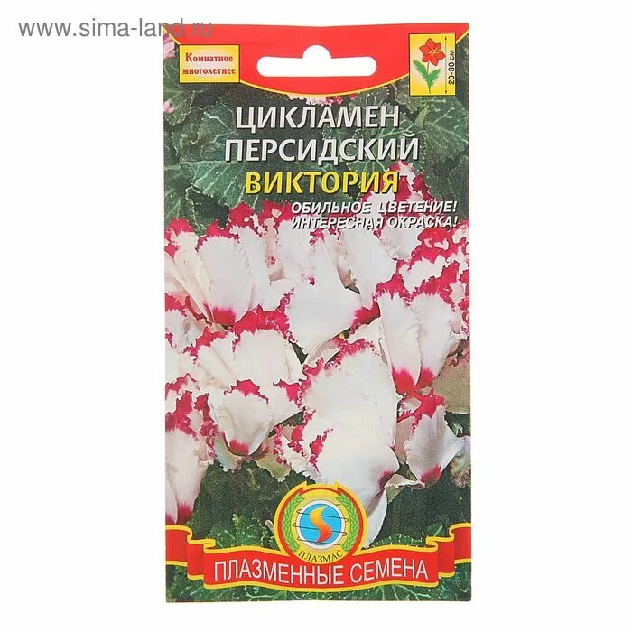 Семена комнатных растений. Семена комнатных цветов интернет магазин. Глориоза великолепная сердце африки* 3 шт. Цикламен рококо смесь 3шт гавр. Семена комнатных цветов.