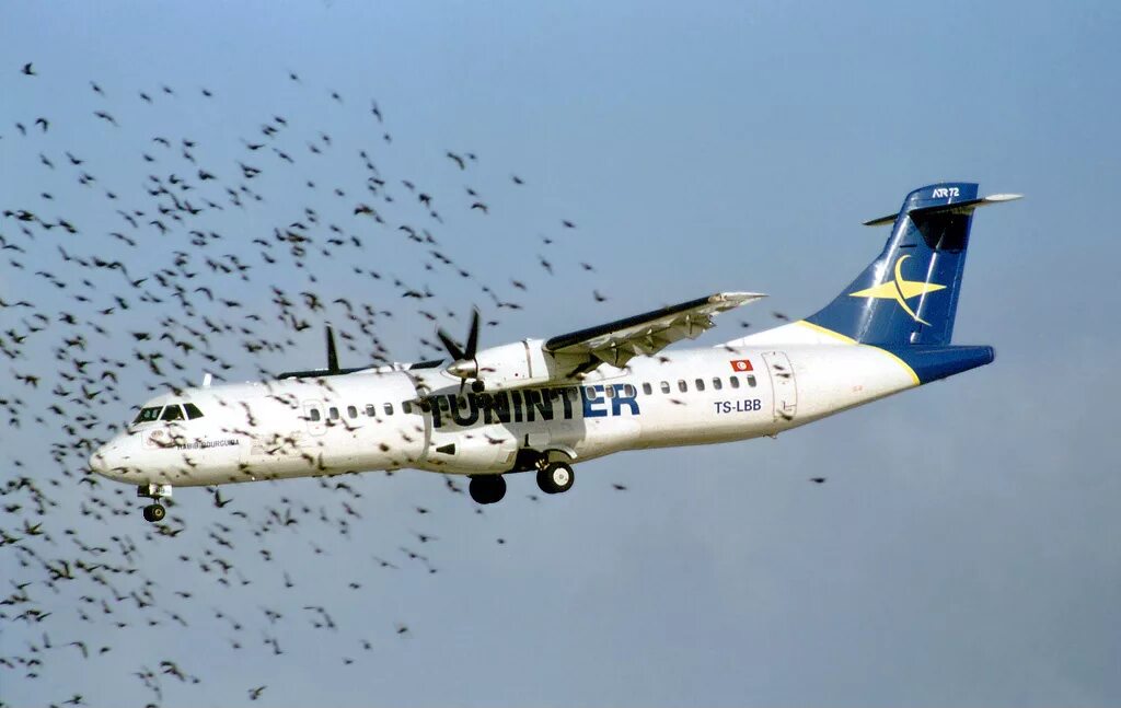 Атр 72 200. 72 202. Kfz. Атр-42 самолет красавиа. 72 202.