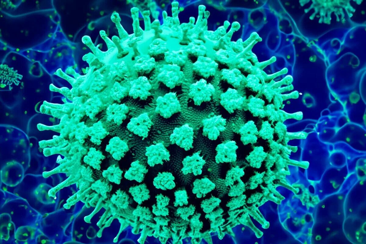 P virus