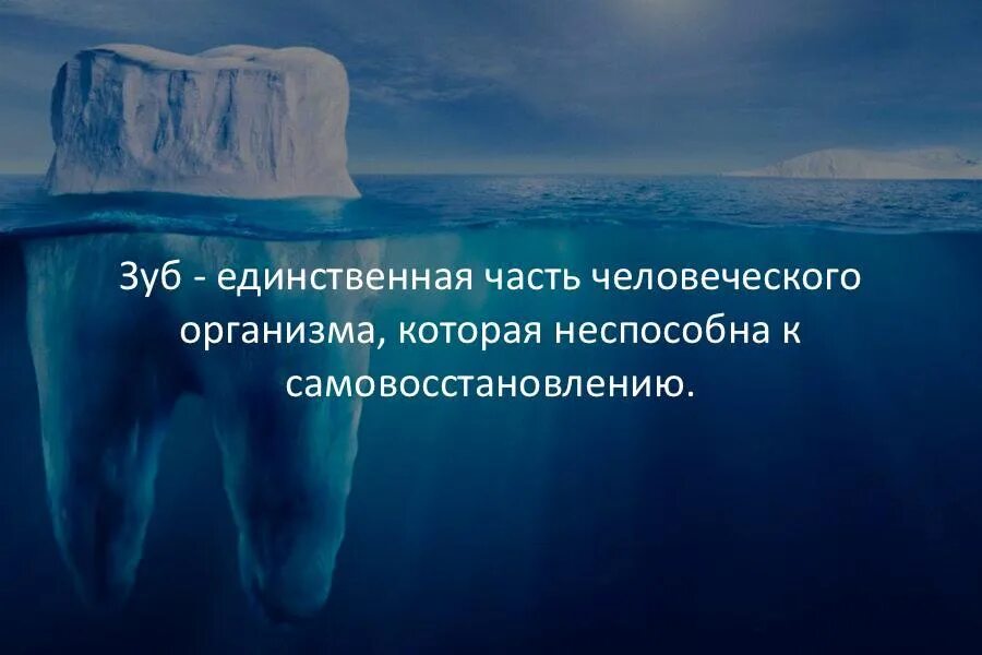 Интересные факты. Удивительные факты. Интересные и необычные факты. Интересные факты обо всем.