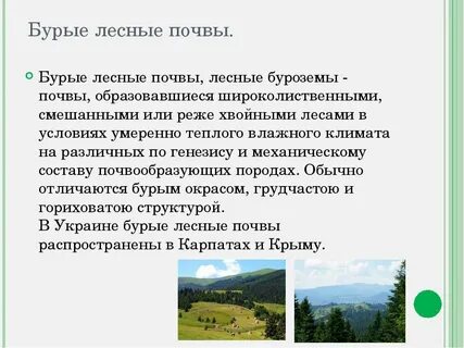 Бурые лесные почвы наиболее