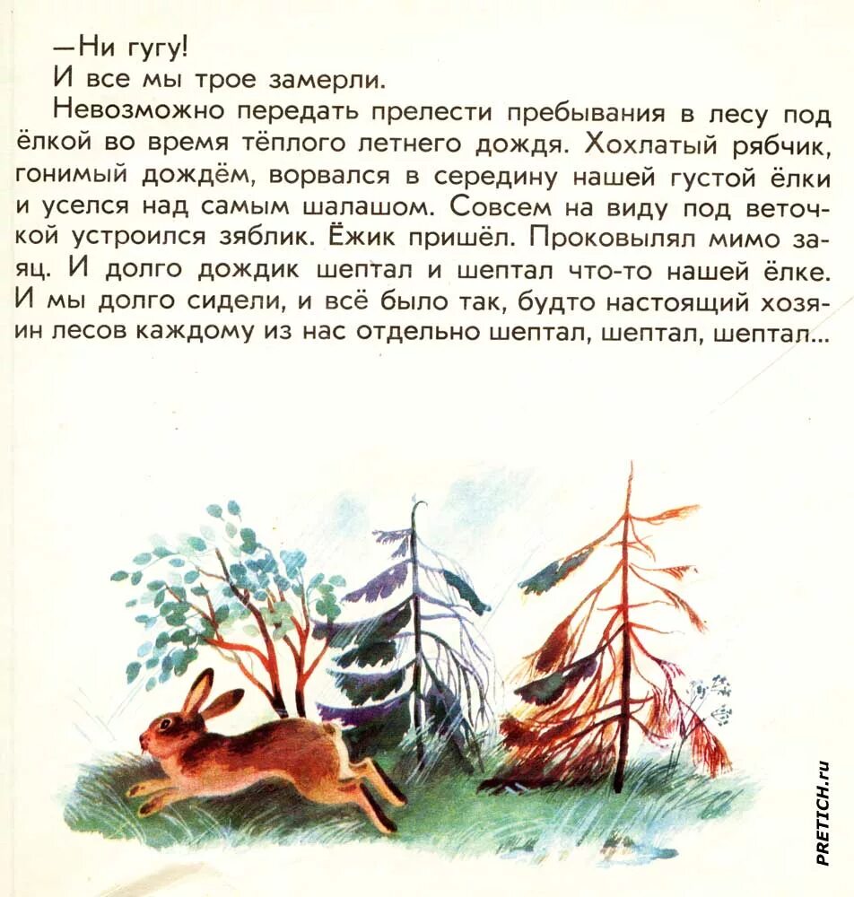 М м пришвин капель. Лесной хозяин пришвин иллюстрации. Пришвин Лесная капель иллюстрации. Рассказ м м Пришвина Лесной хозяин.