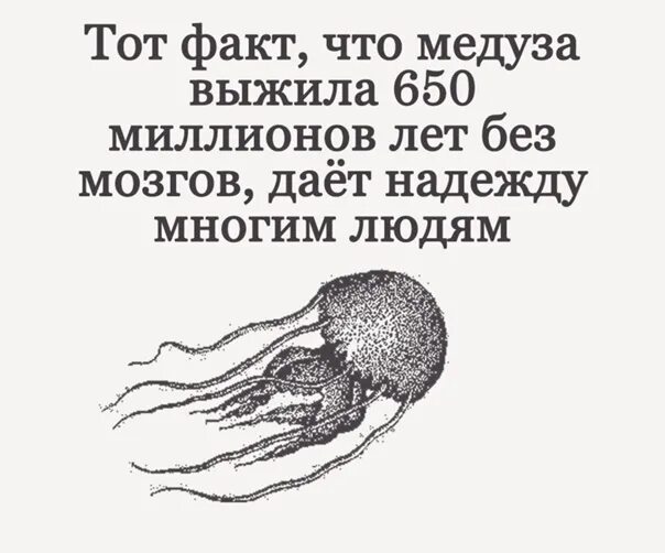 650 миллионов. Тот факт что медуза выжила. Медуза выжила без мозгов 650. Тот факт что медуза выжила 650 миллионов лет без мозгов. Тот факт что медуза выжила 650 миллионов.