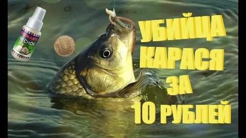 Какие запахи любит карась
