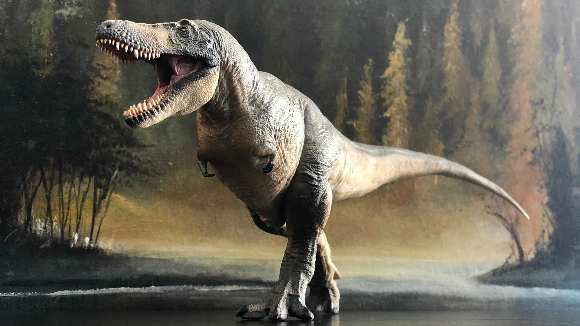 Динозавр тарбозавр. Тарбозавр - хищный динозавр. Тираннозавр рекс Тарбозавр. Велоцирапторы Тарбозавр. Теропод Тарбозавр.