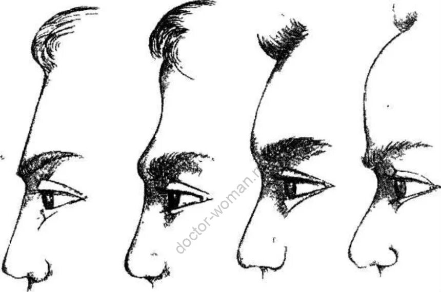 Физиогномика лоб. Форма лба физиогномика. Покатый лоб физиогномика. Форма лба у мужчин физиогномика. Скошенный лоб физиогномика.