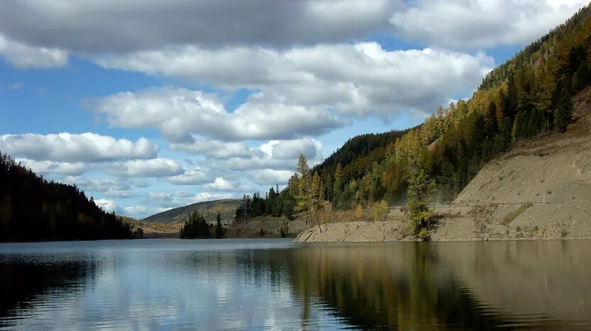 Кулундинское озеро Алтайский край. Кулундинское озеро на Алтае. Озеро большое Кулундинское Алтайский край. Озеро Кулундинское рыбалка. Кулундинское озеро алтайский