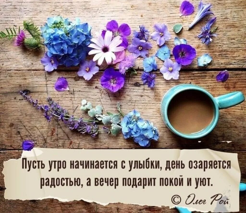 Умные картинки хорошего дня