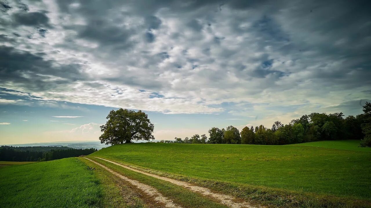 Style field