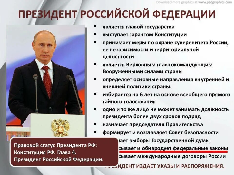 Обязательства президента рф. Государственные дела президента. Президентская власть. Полномочия президента в исполнительной власти.