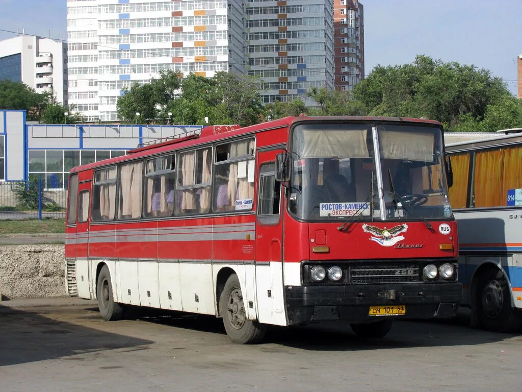 Икарус 250.59. Автовокзал Каменск-Шахтинский Икарус. Ikarus 250.59 № 101. Икарус 250.59 Тверская область.