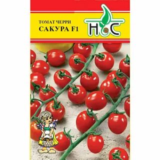 Лучшие семена черри