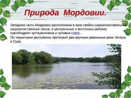 Проекты мордовии