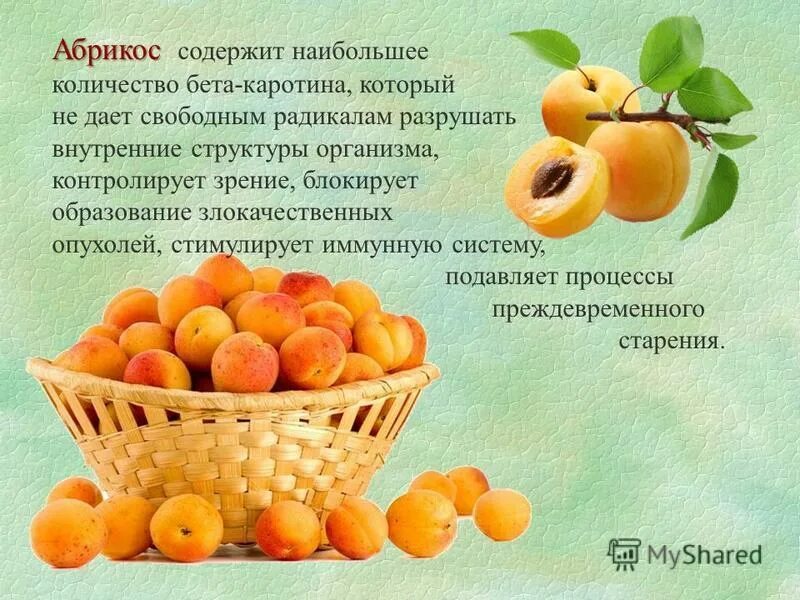 Калорийность абрикоса 1 шт. Абрикосса. Витамины в абрикосе. Задачи на сухие и свежие фрукты огэ. Решение задачи на изюм.