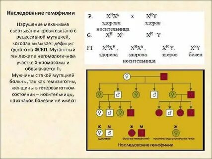 Гемофилия доминантный или рецессивный