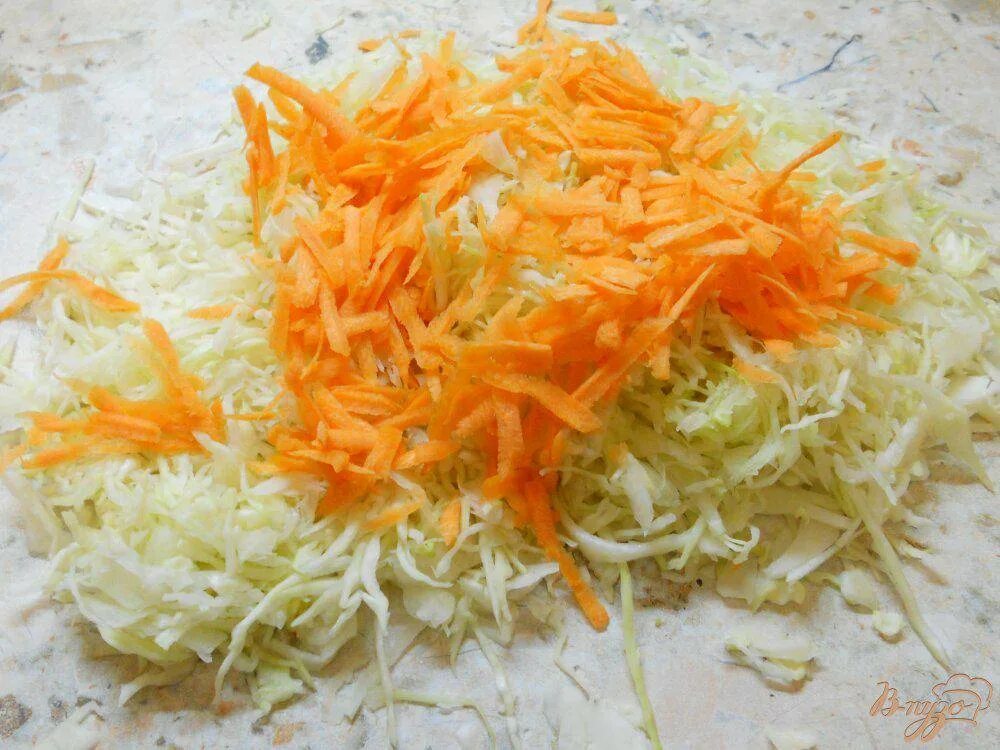 Капуста морковь лук чеснок. Капуста белокочанная с морковью. Салат с капустой и морковью. Салат из капусты с морковью. Морковка и капуста.