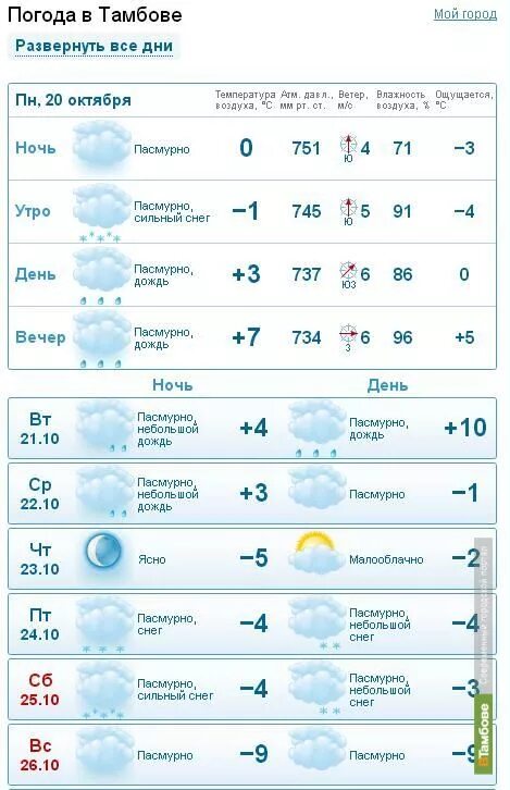 Погода тамбовская недели