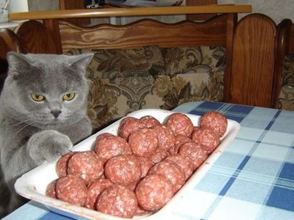 Можно ли котлету на ночь