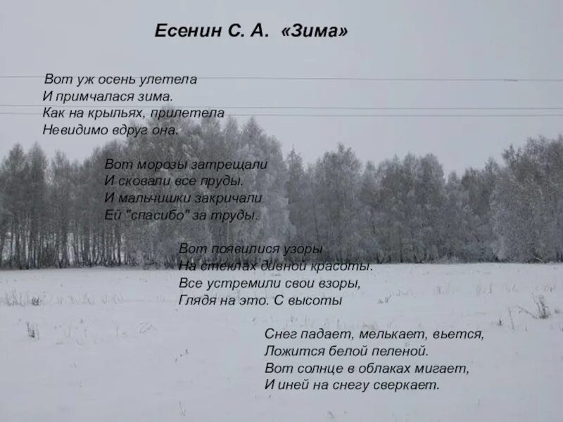 Стихотворение Есенина зима. Стихи Есенина о зиме. Есенин стихи о зиме. Зимнее стихотворение есенина