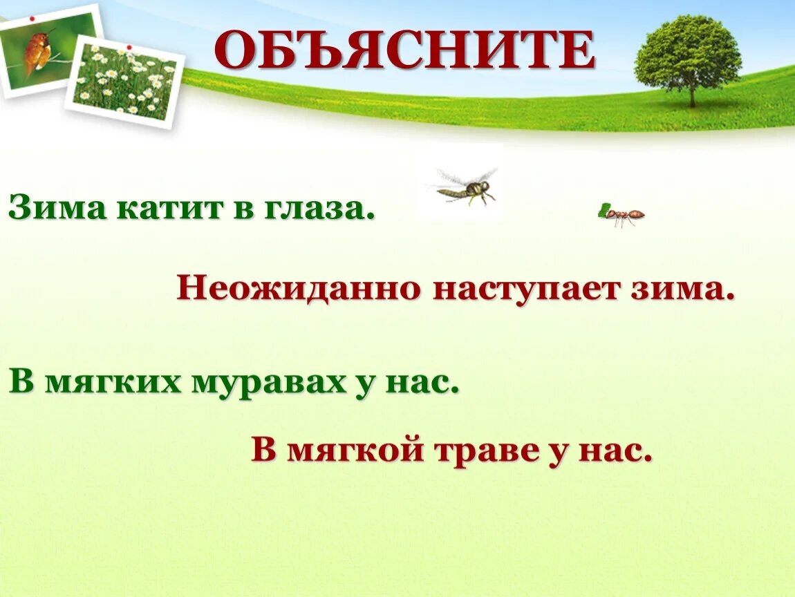 Как понять в мягких муравах у нас. В мягких муравах у нас ударение в слове муравах. В мягких муравах у нас. Зима катит в глаза. Значение слова мурава