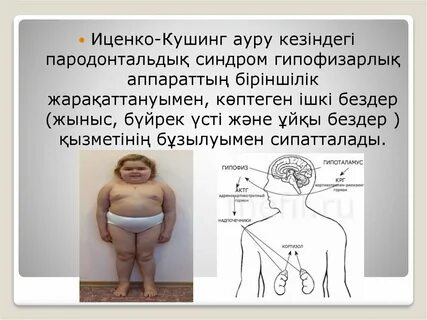 Кирилюкпен шоу-үйдегі секс 2