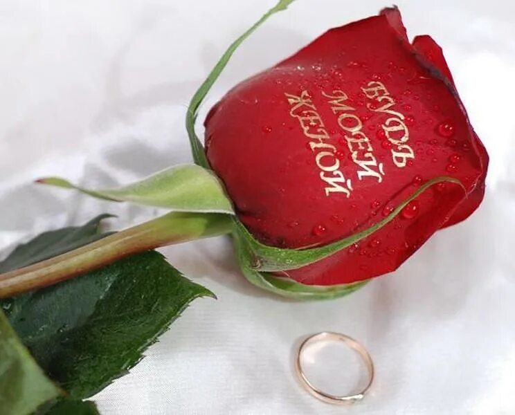 Выходи за моего мужа описание серий. Розы для любимой. Розы с надписью. Розы для любимой девушки. Цветы для любимой женщины.