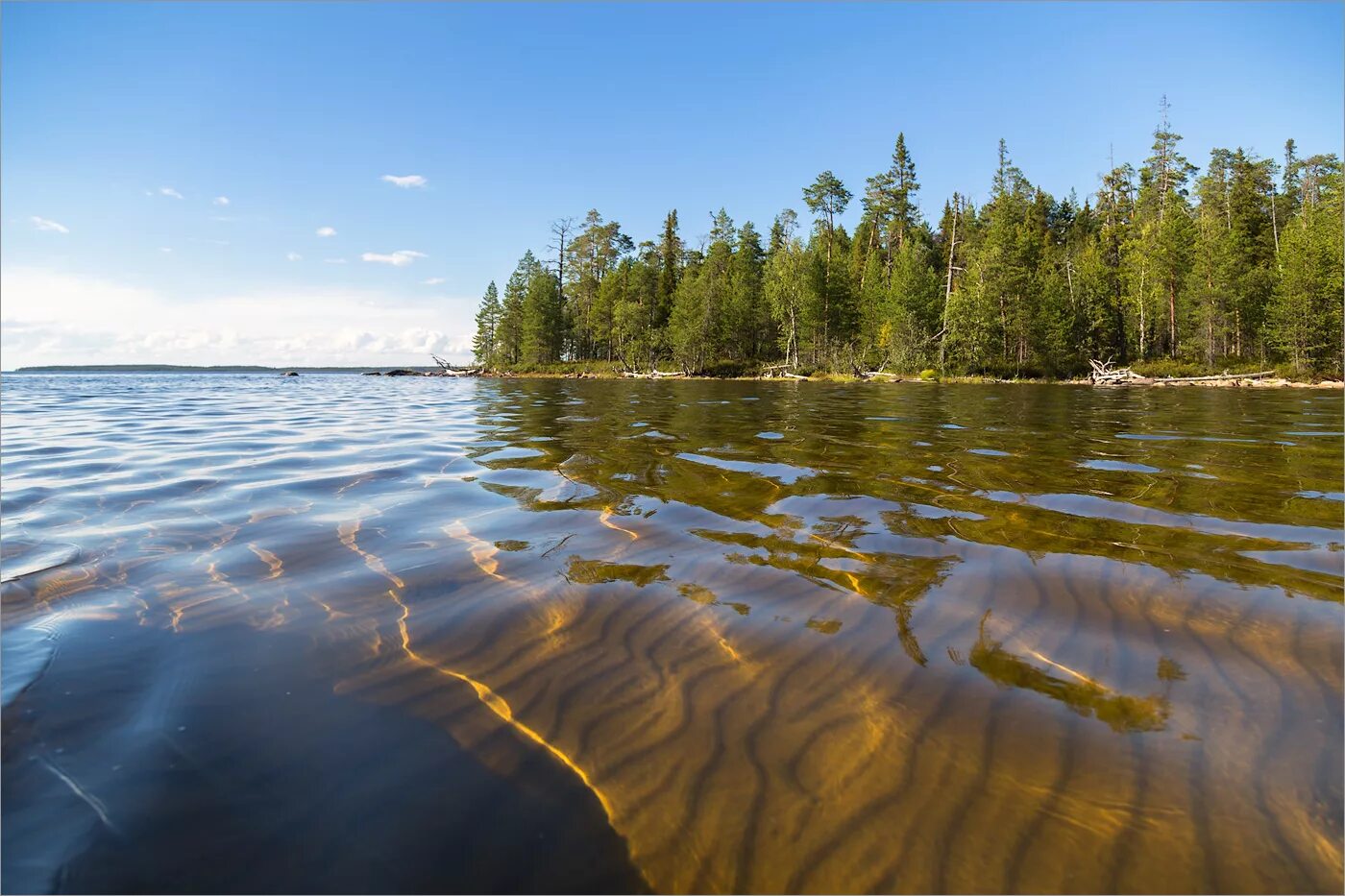 карелия край озер. воттоваара озеро. каменное озеро карелия. карельская минеральная вода. каменное озеро карелия.