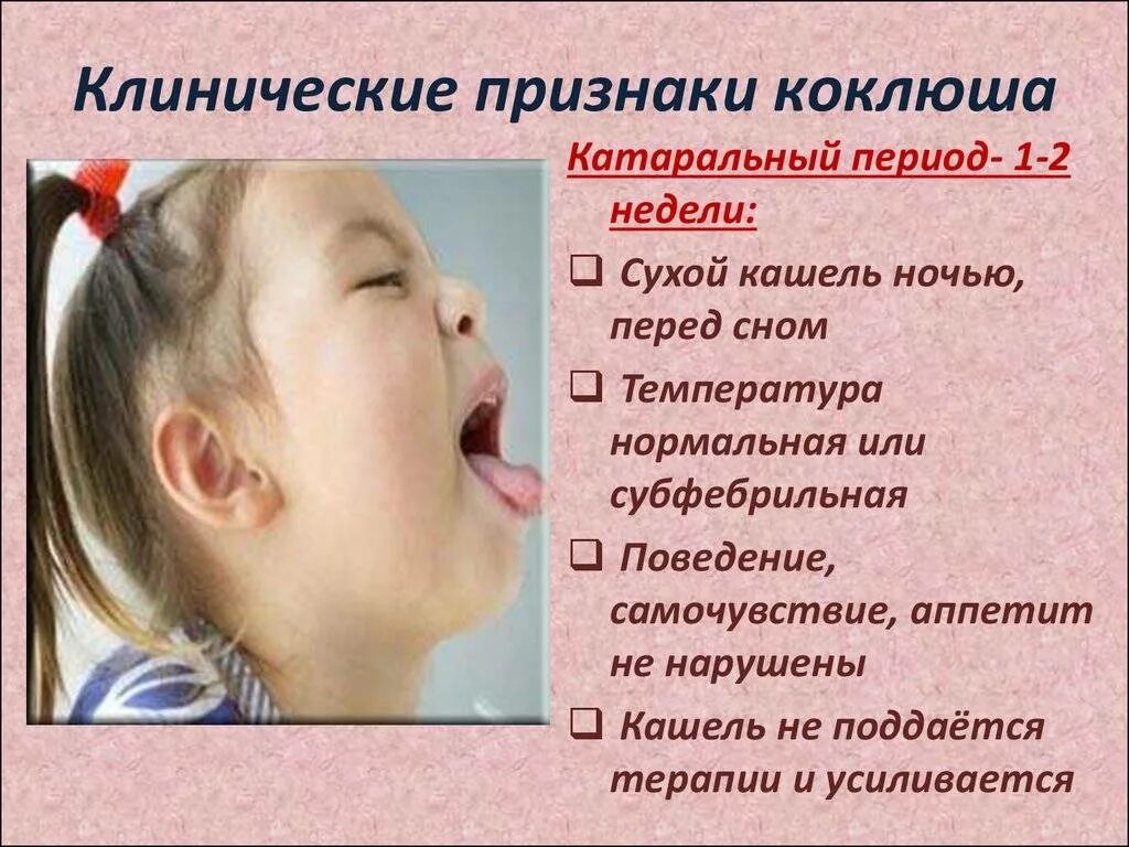 Коклюш расшифровка. Клинические проявления коклюша. Характерные клинические проявления коклюша. Куклеш у детей симптомы. Клинические симптомы коклюша.