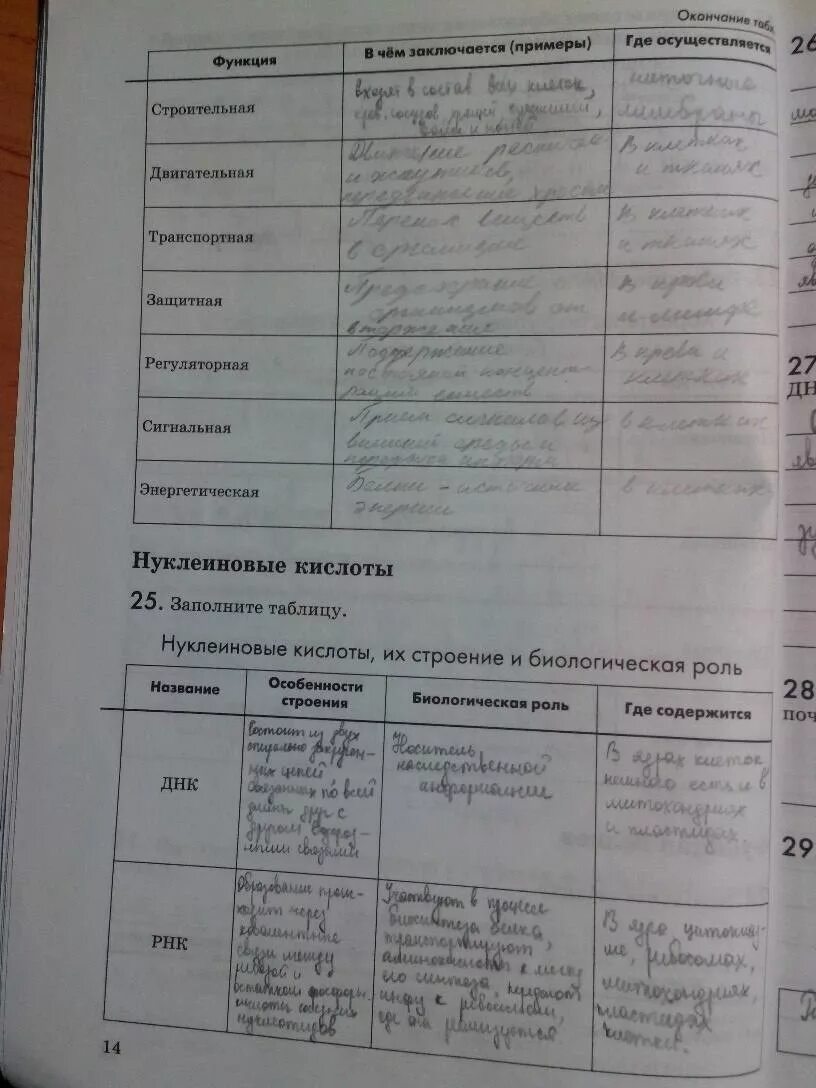 Таблица по биологии 8 класс пасечник ГДЗ по Биологии 6 класс страница 75 рабочая тетрадь Пасечник, Снисаренко