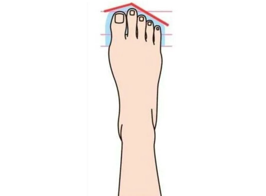 угловые величины между пальцами. как определить человека по форме пальцев. измерение углового размера с помощью пальцев. пропорции руки человека. длина между пальцами.