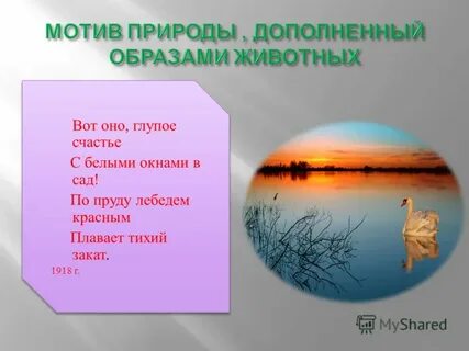 Глупое счастье это